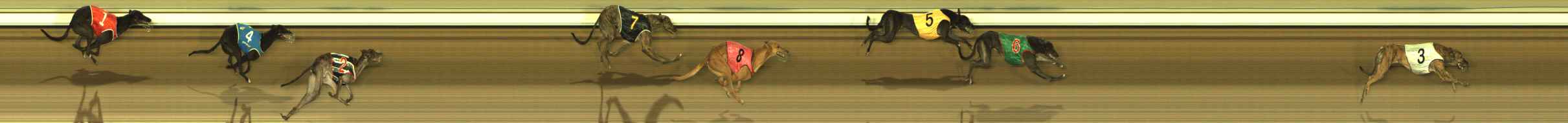 Race result finish photo